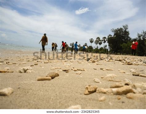 344 Beach Jaffna Images, Stock Photos & Vectors | Shutterstock