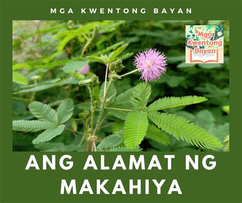 Ang Alamat ng Makahiya - Mga Kwentong Bayan