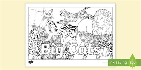 Big Cats Montage Colouring Page (teacher made) - Twinkl