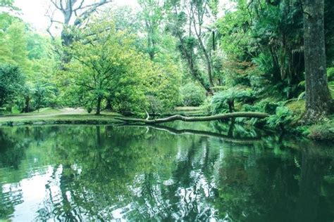 Yoga & Adventure Retreat Azores - Julia Monosova