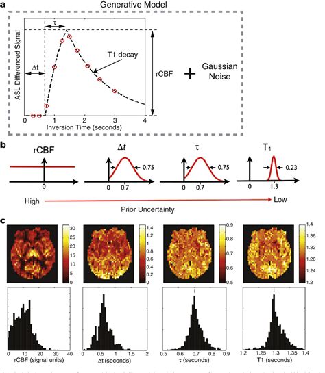 Structure of subthalamic nucleus | Semantic Scholar