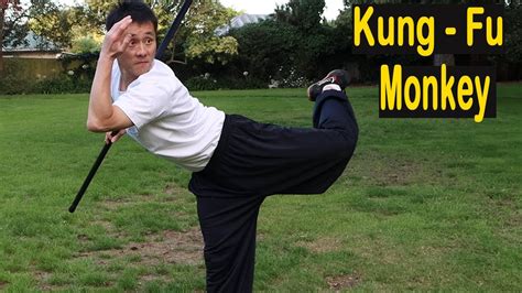 5 Bo Staff Moves to Master Monkey Style - Kung Fu Monkey 🙊 - YouTube