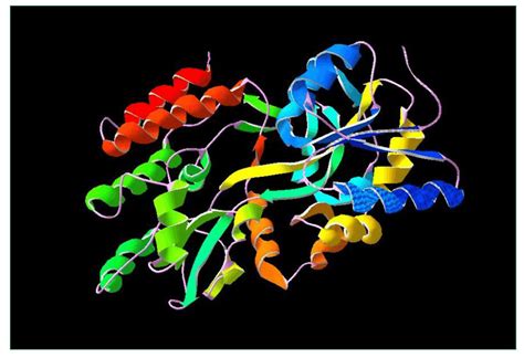 The protein 3D structure for MalE (1FQA in the PDB) model from protein... | Download Scientific ...