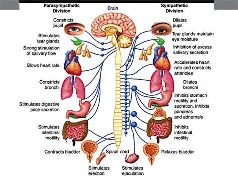 Lecture Slides Chapter 5