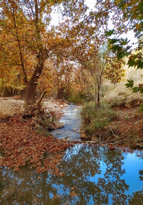 طبیعت پاییزی روستای جورگ در قاب دوربین شهروند خبرنگار + تصاویر