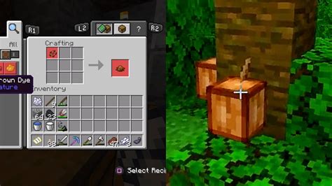 How to Make Brown Dye in Minecraft - VGKAMI