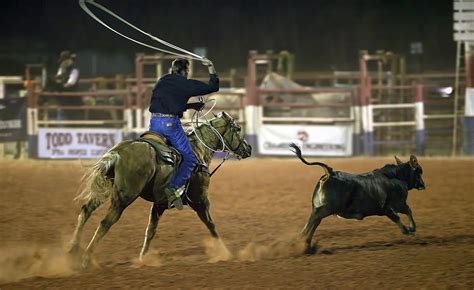 Cattle Roping Photograph by Paul Svensen - Pixels