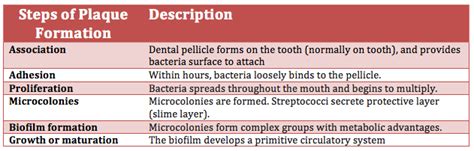 Dental Plaque