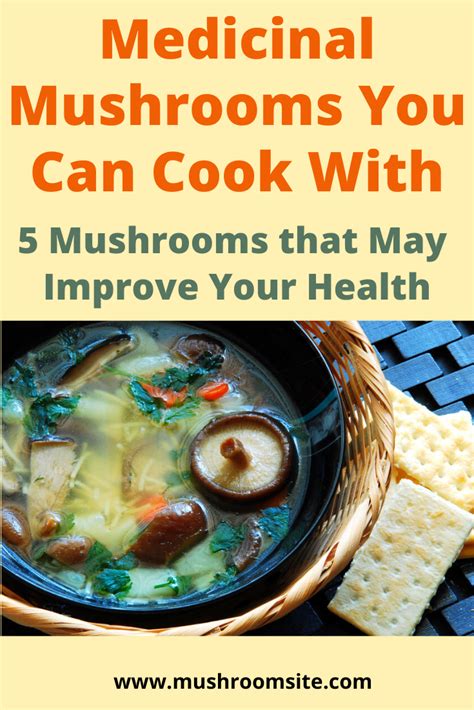 Medicinal Mushrooms You Can Cook With - Mushroom Site