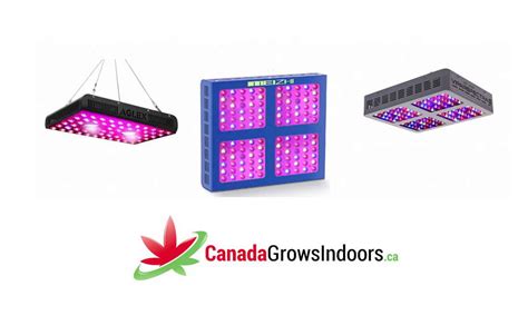 Top 10 Best LED Grow Lights Canada and USA Reviews 2023 - Buyers Guide