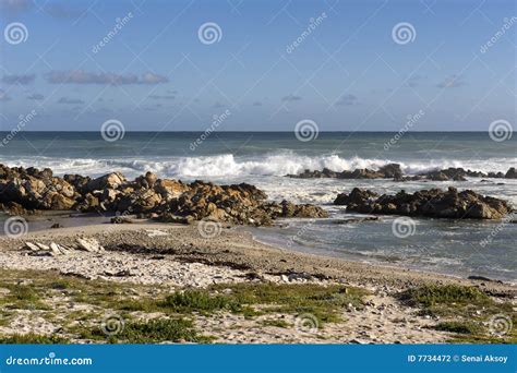 Cape Agulhas, South Africa. Stock Photography - Image: 7734472