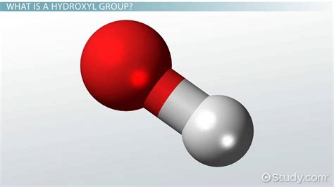 Hydroxyl Group: Definition, Structure & Formula - Lesson | Study.com