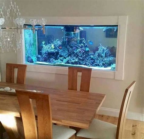 Virtuelles Aquarium Wand - selbstreinigendes aquarium