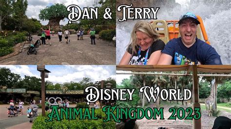 Walt Disney World 2023 - Animal Kingdom | Tree of Life | Kilimanjaro ...