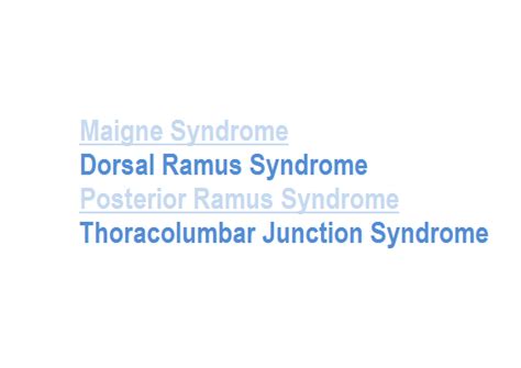 Thoracolumbar Junction Syndrome | Bone and Spine