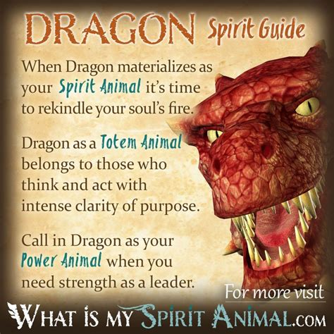 Dragon Symbolism & Meaning | Spirit, Totem & Power Animal