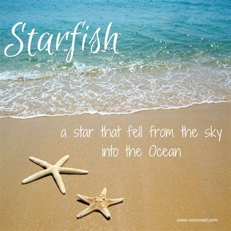 Starfish Quotes. QuotesGram