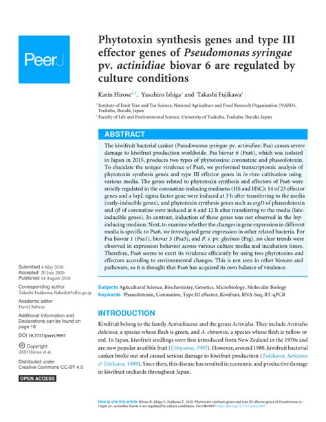 (PDF) Phytotoxin synthesis genes and type III effector genes of Pseudomonas syringae pv ...