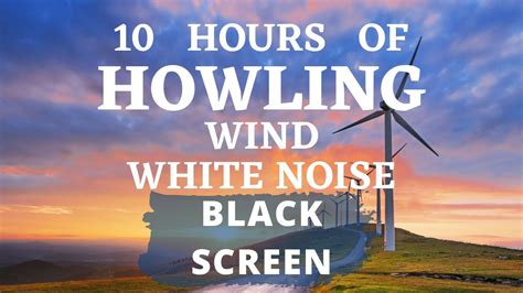 Strong Howling Wind, Relaxing Nature Sounds for Sleep, Focus, or Studying 10 Hours Black Screen ...