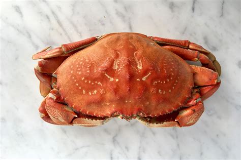 How to Clean Fresh Crabs: Start With Fresh and Lively Crabs