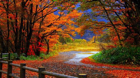 Autumn wallpaper Widescreen ·① Download free amazing High Resolution ...