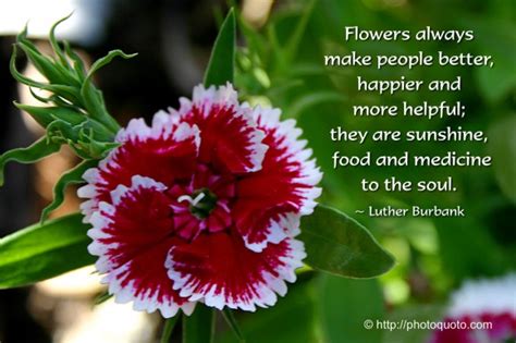 Flowers always make people better, happier, and more helpful; they are ...