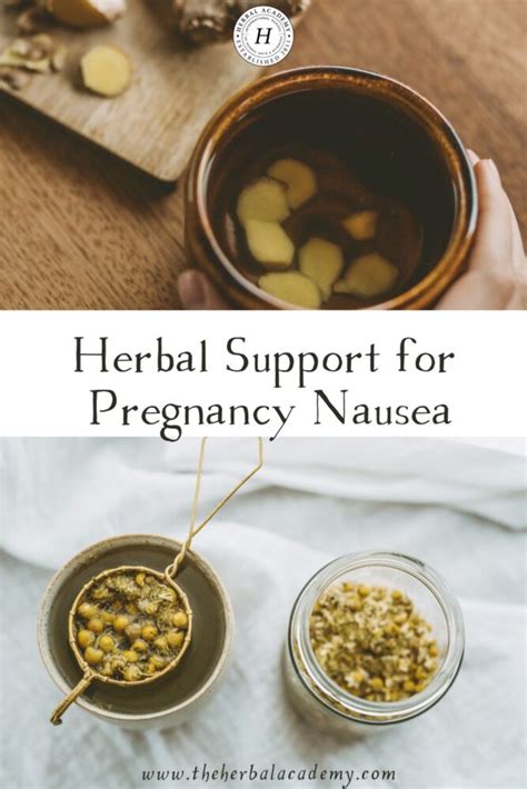 Herbal Support for Pregnancy Nausea – Herbal Academy