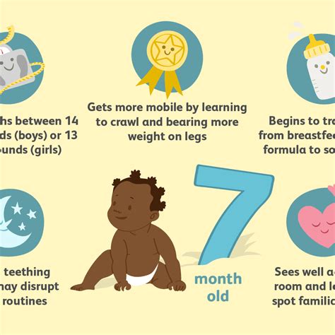 Developmental milestones for a 7 month old