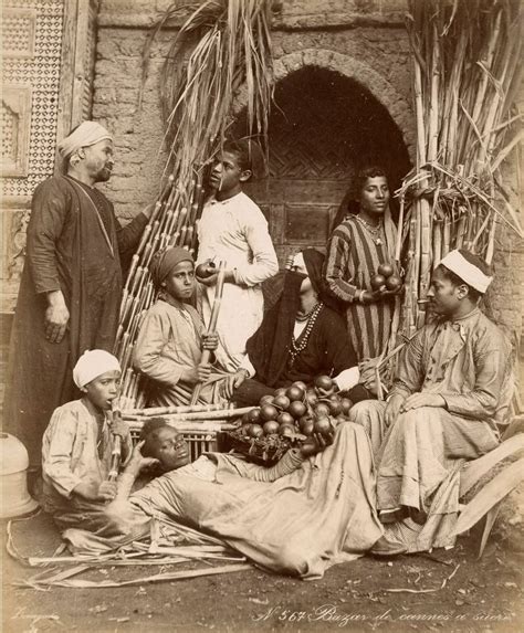 Magnificent images capture the ancient and modern wonders of 1800s Egypt | Old egypt, Egypt ...