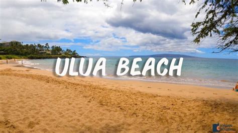 The Best Snorkeling at Ulua Beach in southern Maui, Hawaii - Hawaii ...