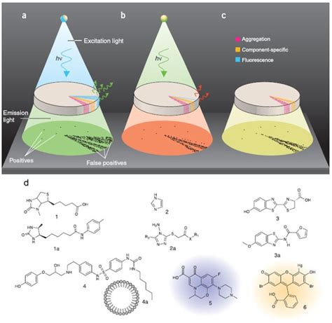 High-throughput screening assays for the identification of chemical probes | Nature Chemical Biology