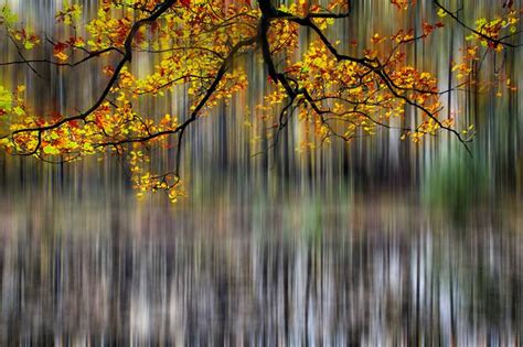 Abstract nature Photography by Ard Bodewes | Saatchi Art