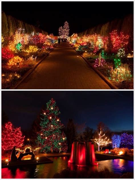 Blossoms of Light , one million lights illuminating the Denver Botanic ...