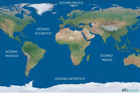 Océanos: qué son, cuántos hay y características - Resumen