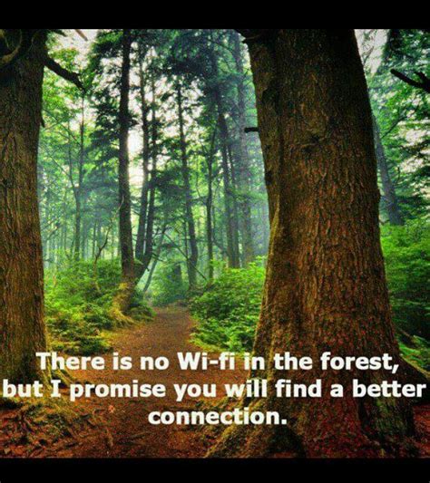 Connection | Nature quotes, Forest, Nature