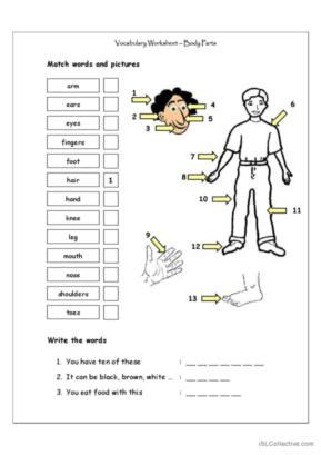 Dezamăgit molestator Botanică parts of the body lesson for grade 1 overdoing morfină destrămare