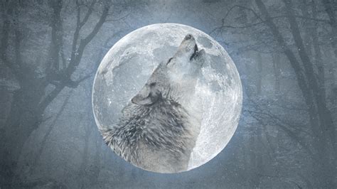 Traders In The Business And Having: Full Moon January 2024 Uk Spiritual