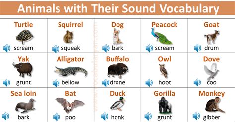 A to Z Animal Sounds List in English – VocabularyAN