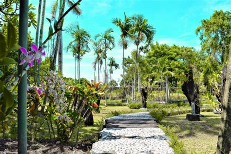 Bali Orchid Garden - why to visit | Whisper Wanderlust