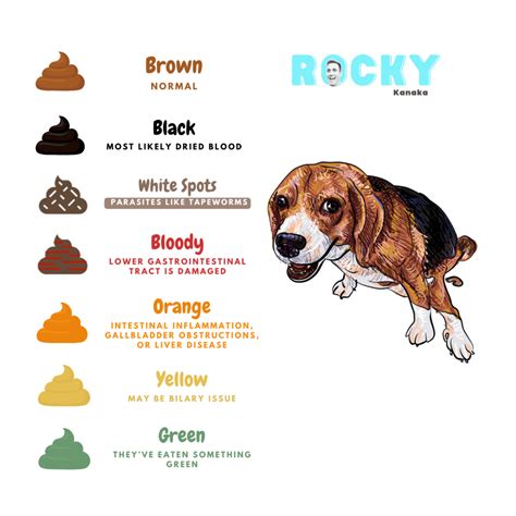 Dog Poop Color Chart With Pictures: The Guide To What It, 43% OFF