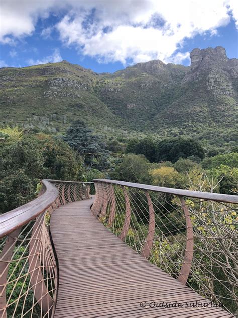 An afternoon at the Kirstenbosch Botanical Garden in Cape Town ...