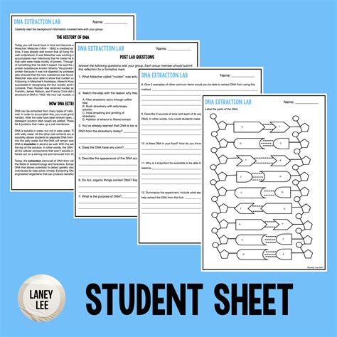 DNA Extraction Lab - Laney Lee