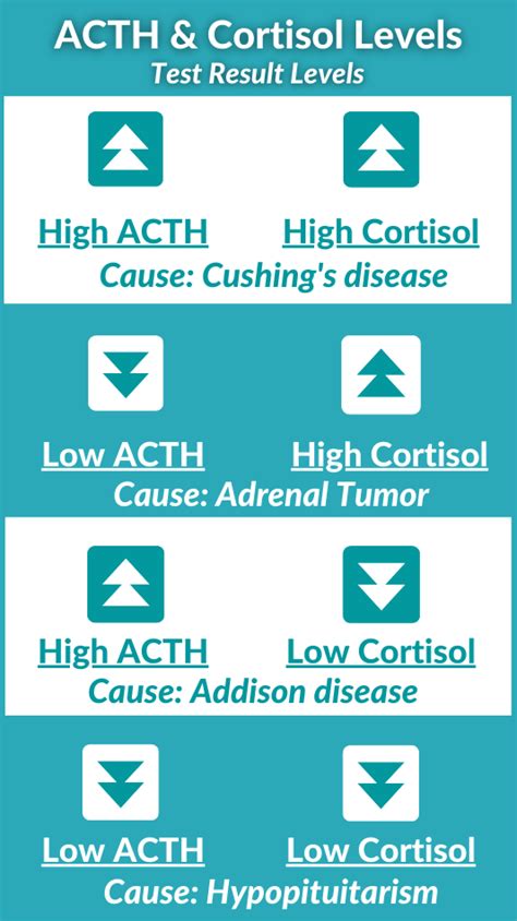 ACTH Hormone Test | Importance of Normal ACTH Levels, Causes of High/Low Levels, Diagnosis ...