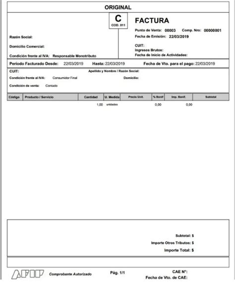 ᐈ Cómo Saber si debo Emitir Factura Electrónica en Argentina 【Pasos, AFIP y MÁS】