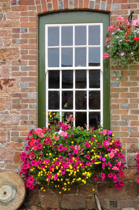 Window Box With Pink Flowers