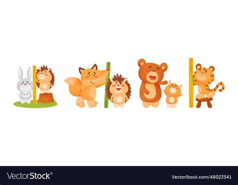 Funny animals measuring and comparing heights Vector Image