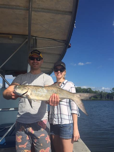 Threadfin Salmon - Fishing Charters Cairns