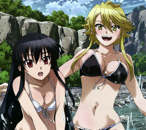 Akame ga Kill smartphone wallpaper Akame and Leone – Kawaii Mobile