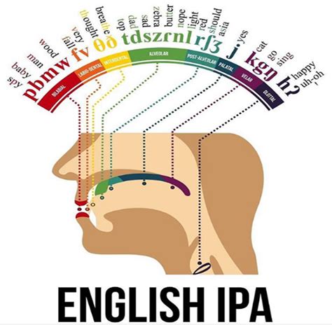 English IPA diagram | Speech and language, Phonetic alphabet, Speech ...