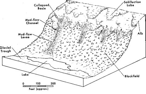 Figure 2 from The Collapse of Solifluction Lobes as a Factor in Vegetating Blockfields ...